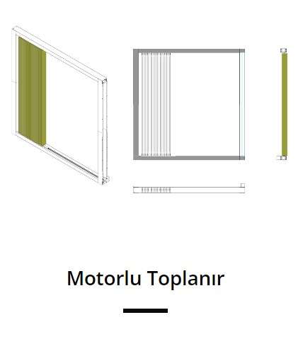Motorlu kolleksiya
